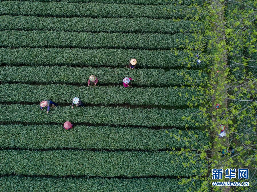 裙摆by阿司匹林格格党