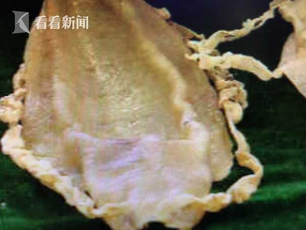 校草雌堕计划(秦楼月)小说全文最新在(出轨H)
