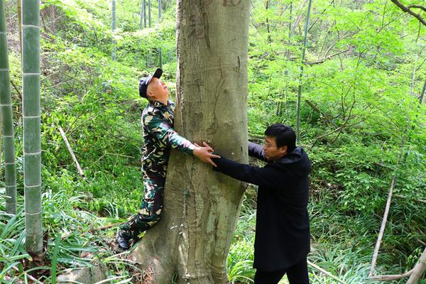 春风渡po笔趣阁（出轨 高H）