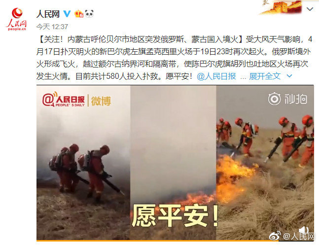 意外标记(穿书)蝶之灵